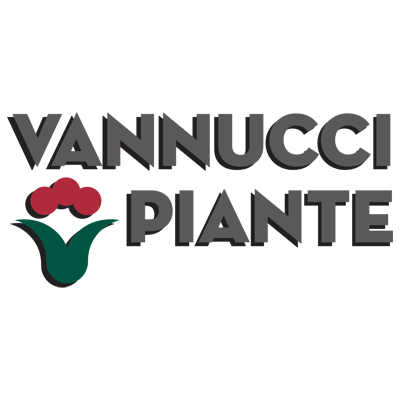 Vannucci Piante